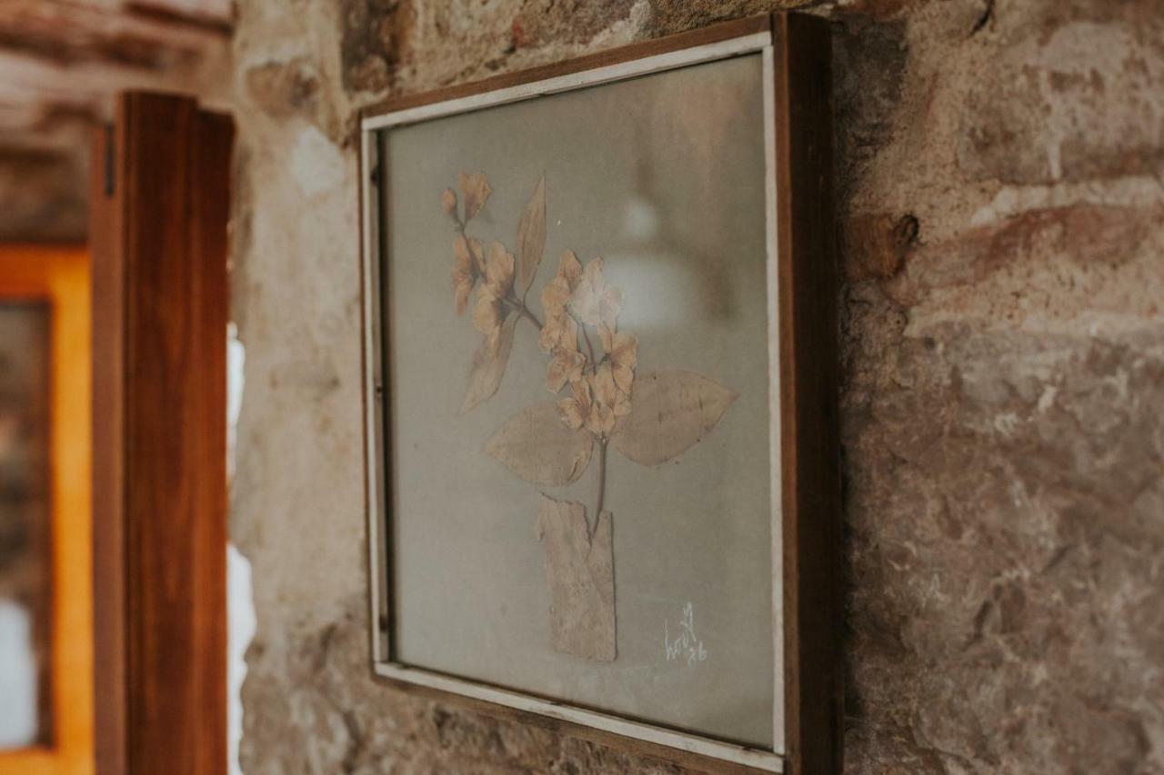 Hotel Casa Milina Szybenik Zewnętrze zdjęcie